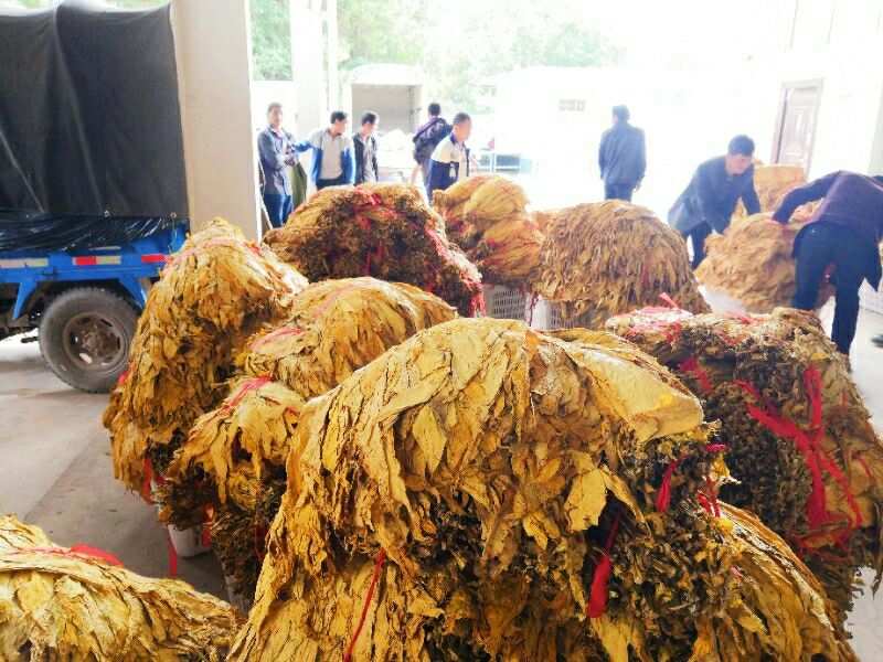 云南香烟_香烟云南流金_香烟云南印象