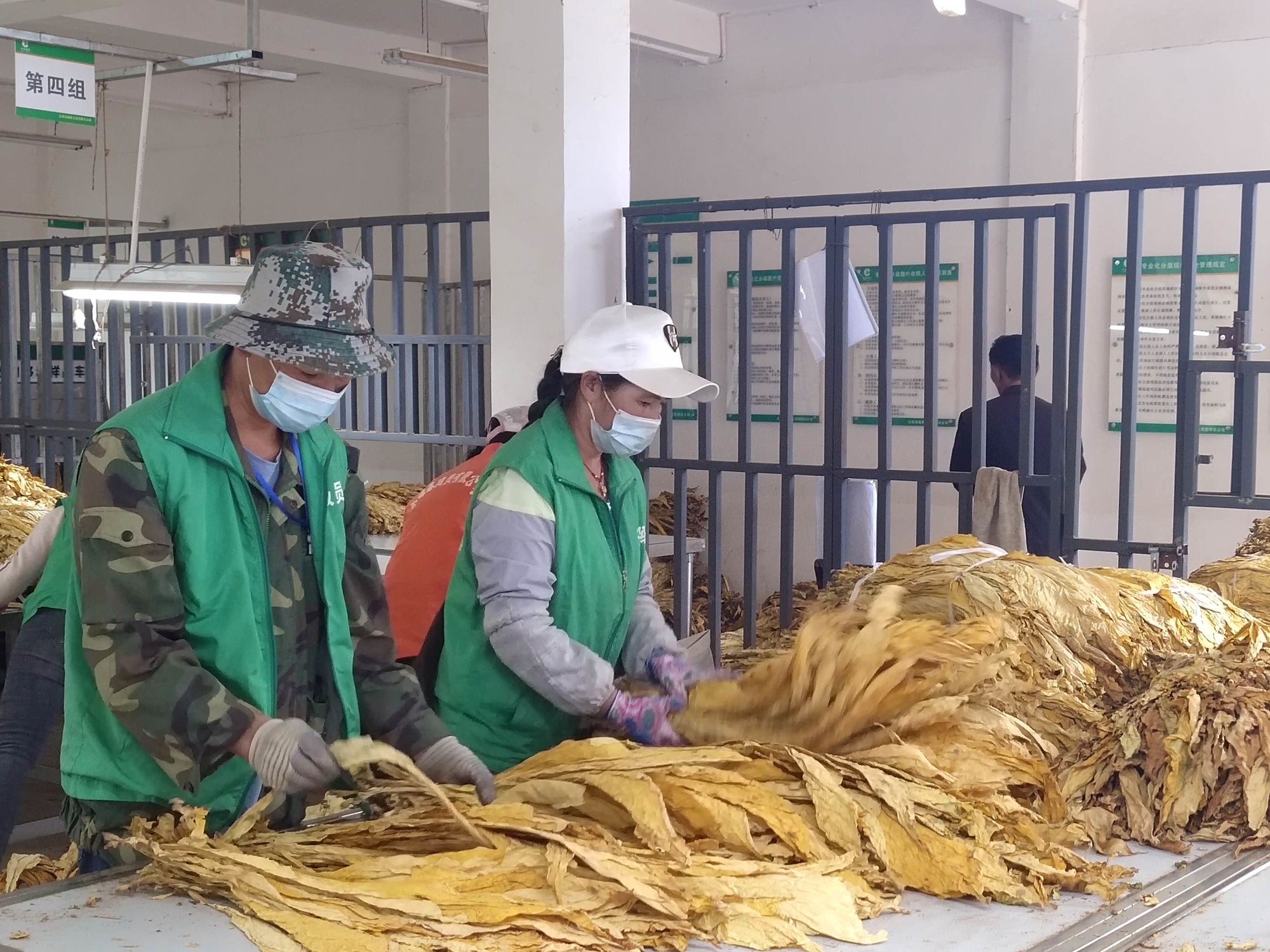 香烟云南流金_香烟云南印象_云南香烟