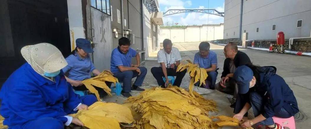 云霄烟_云霄烟_云霄烟