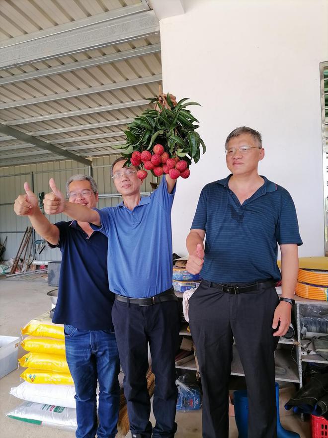 福建云霄_福建云霄县属于哪个市_福建云霄香烟