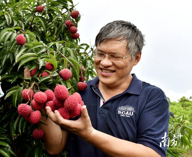 福建云霄_福建云霄香烟_福建云霄县属于哪个市