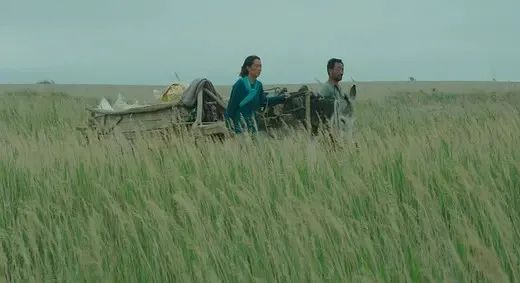 农村发烟_小村子造20年假烟_私自造烟的村子