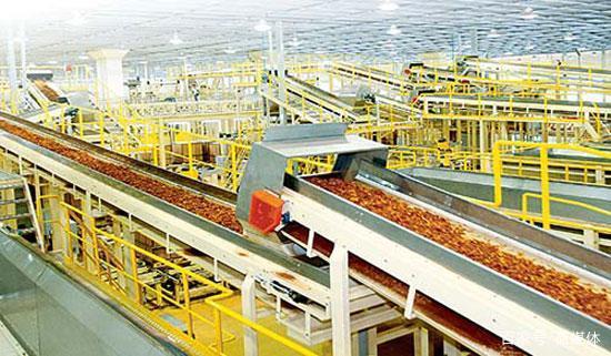 一手香烟货源批发_香烟一手_一手香烟货源