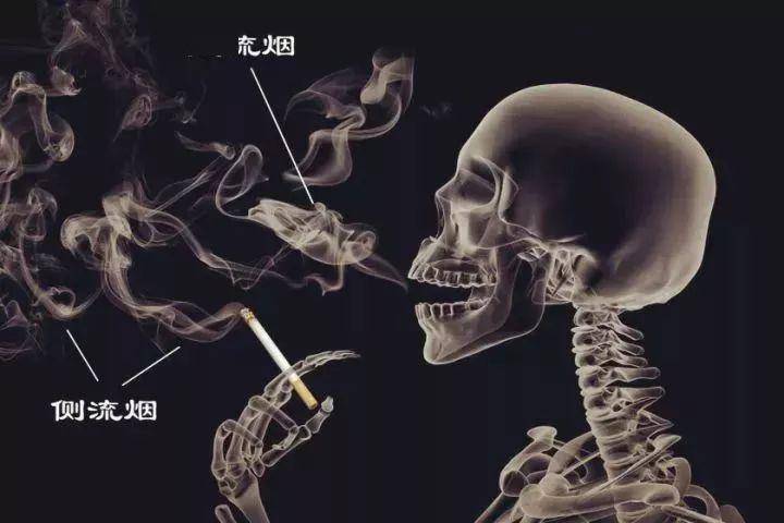 一手香烟货源_一手香烟货源批发_香烟一手