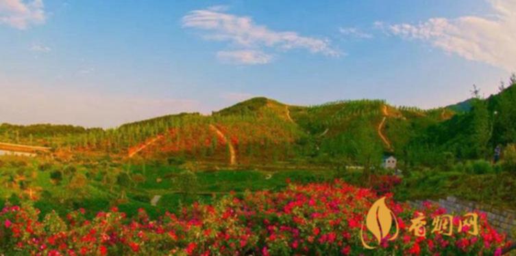 中国高端名烟_中国高端香烟_高端中国名烟有哪些