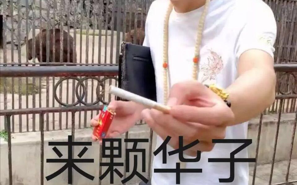 香烟中华神龙多少钱一包_中华香烟_香烟中华神龙价格表