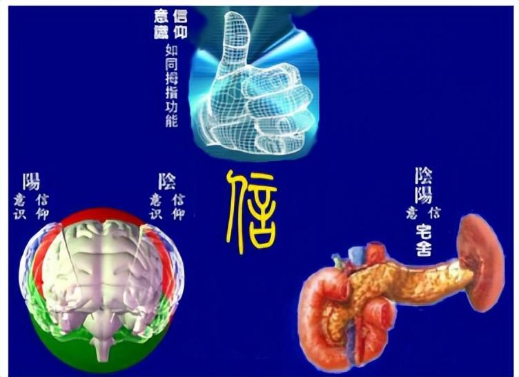 中华假烟多_假中华烟_假烟中华怎么分辨