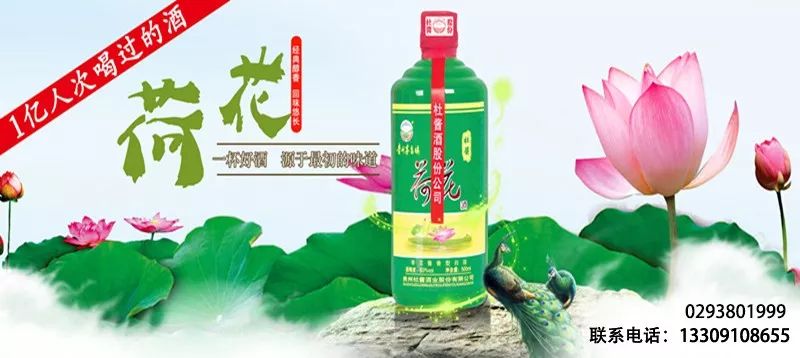 贵州茅台镇荷花酒和荷花烟_贵洲茅台镇荷花酒价格_贵州茅台荷花酒价格