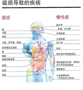 一手香烟货源正品批发_香烟一手_一手香烟批发厂家