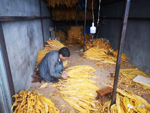 香烟云霄货和船货什么区别_香烟云霄和越南代工哪个好抽_云霄香烟