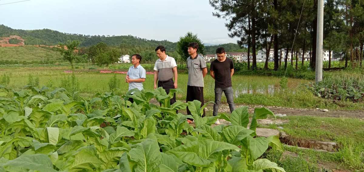 私自造烟的村子_用如果就造句子怎么造_用小心翼翼造句子怎么造