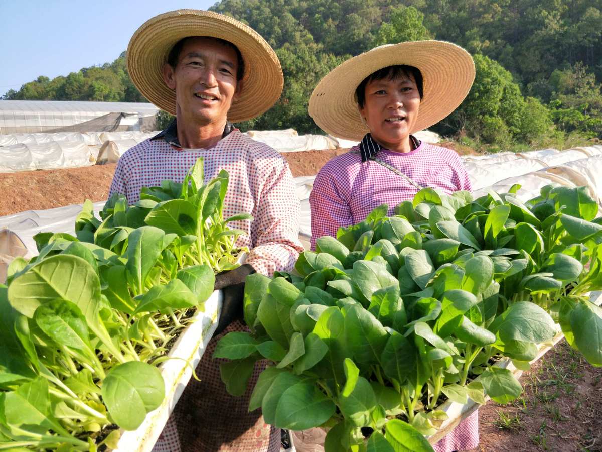 造雾者蒸汽电子烟_私自造烟的村子_造雾主电子烟