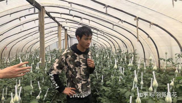 厂家一手货源烟_一手货源烟草_外烟一手货源供应商