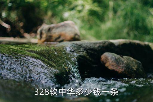 328软中华多少钱一条