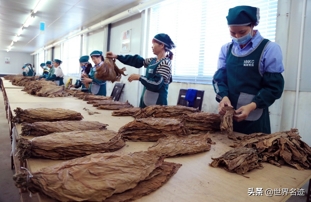 比真烟还好抽？一个村庄专业制造假烟20年，用实力横扫美国市场