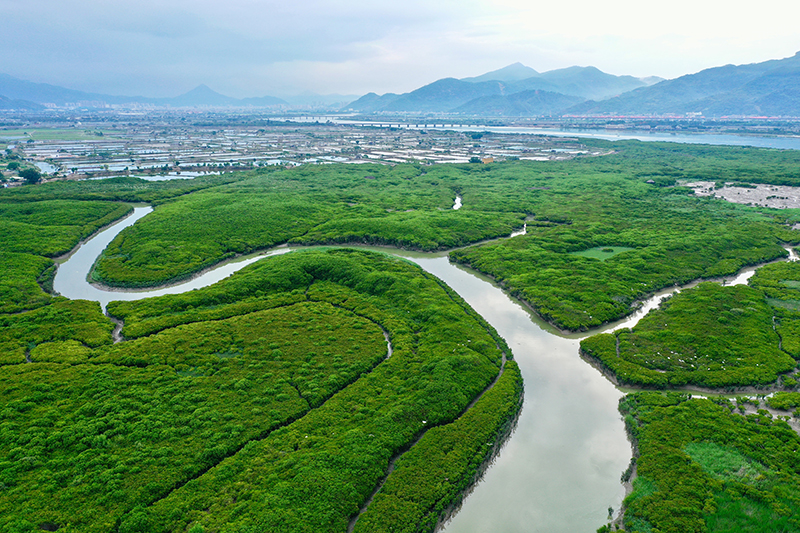 福建云霄_福建云霄天气预报_福建云霄县属于哪个市