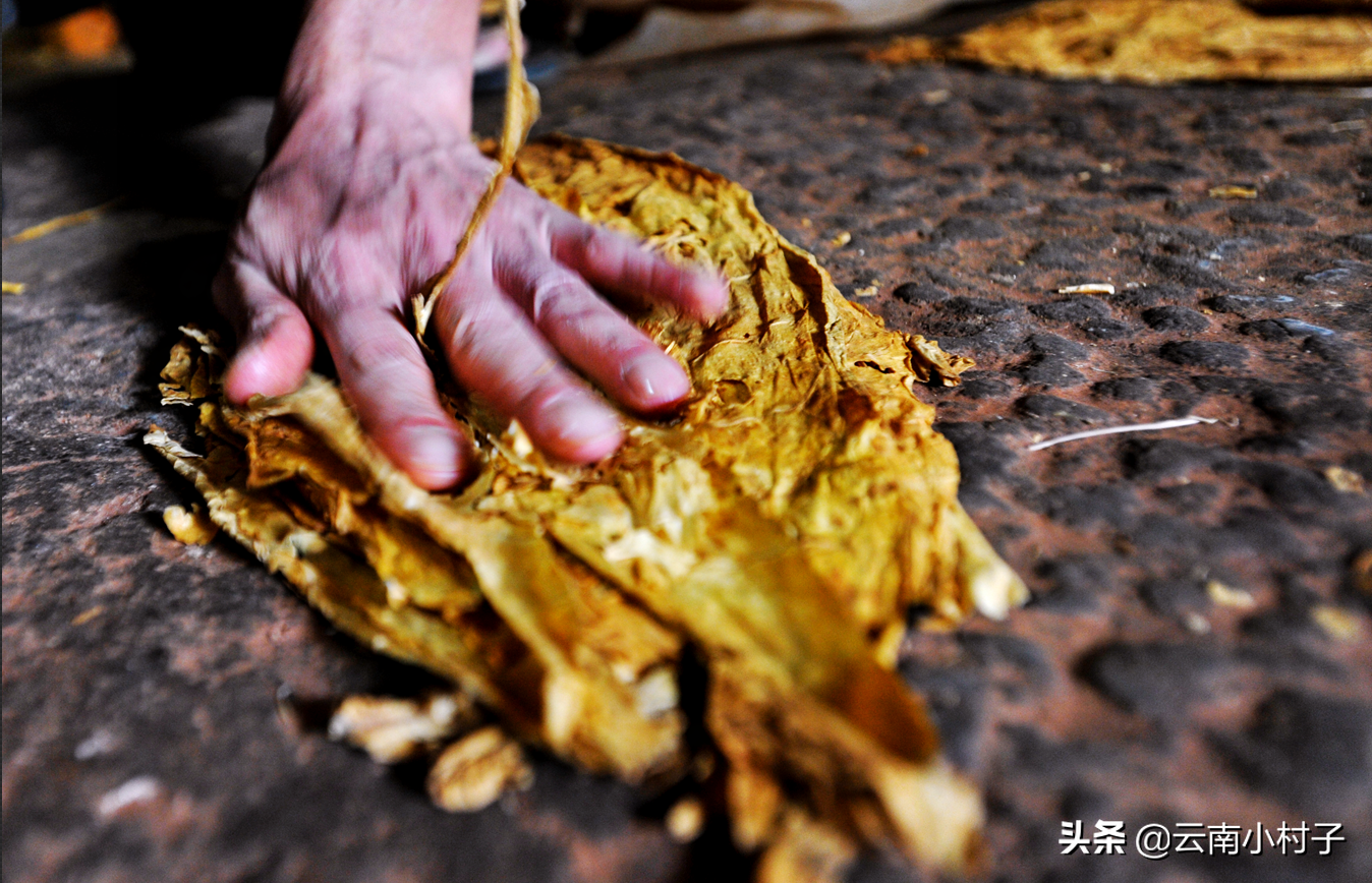 云南烟丝批发市场在哪_云南香烟_云南手卷烟丝