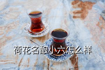 荷花名酿小六怎么样