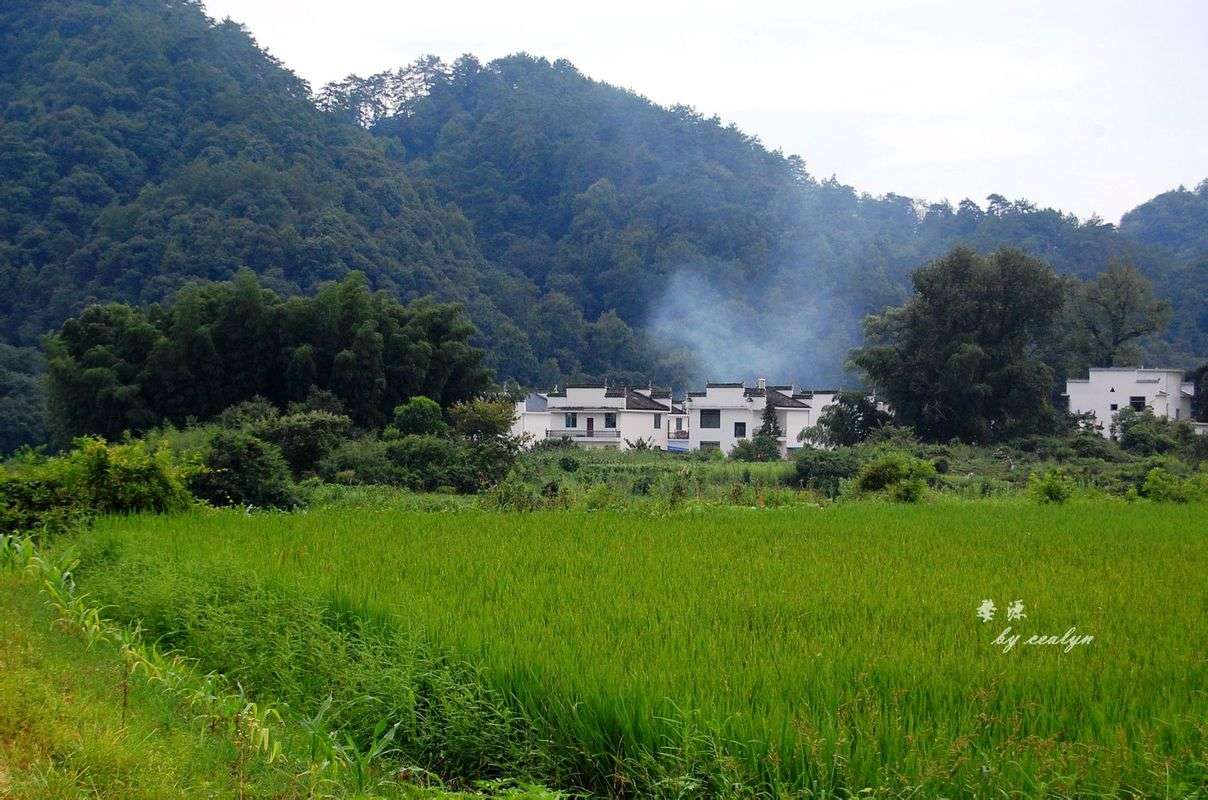 澄城卷烟厂造什么烟_菲利普莫里斯烟日本造_私自造烟的村子