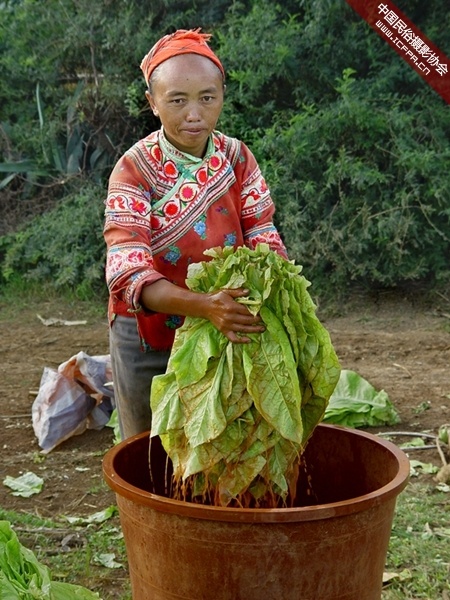 香烟云南印象多少钱_云南香烟_香烟云南流金