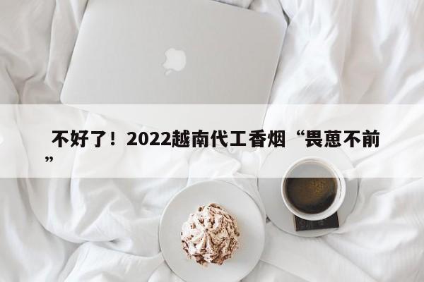  不好了！2022越南代工香烟“畏葸不前”-第1张图片-实现全球唯一