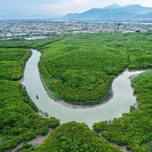 福建云霄天气预报_福建云霄_福建云霄天气预报15天