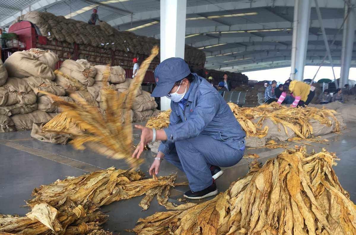 烟中华多少钱一包_中华烟_烟中华图片