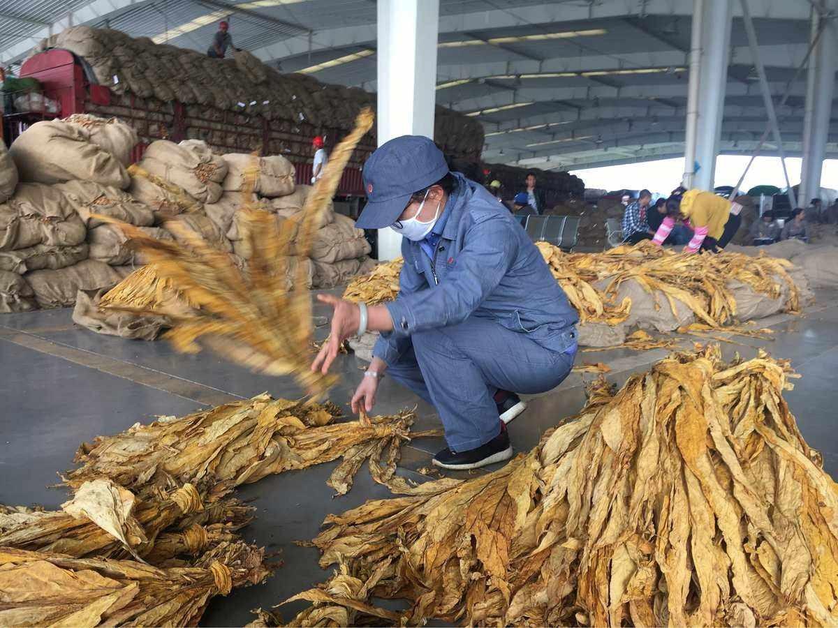 香烟中华细支多少钱一条_香烟中华价格表和图片_中华香烟