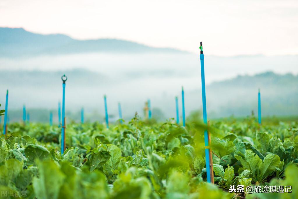 香烟云南印象_云南香烟_香烟云南的烟最好