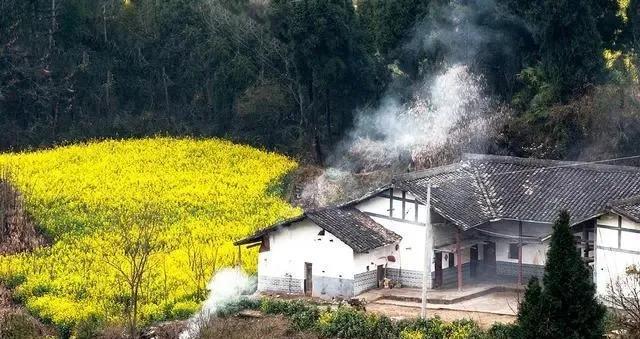 菲利普莫里斯烟日本造_澄城卷烟厂造什么烟_私自造烟的村子