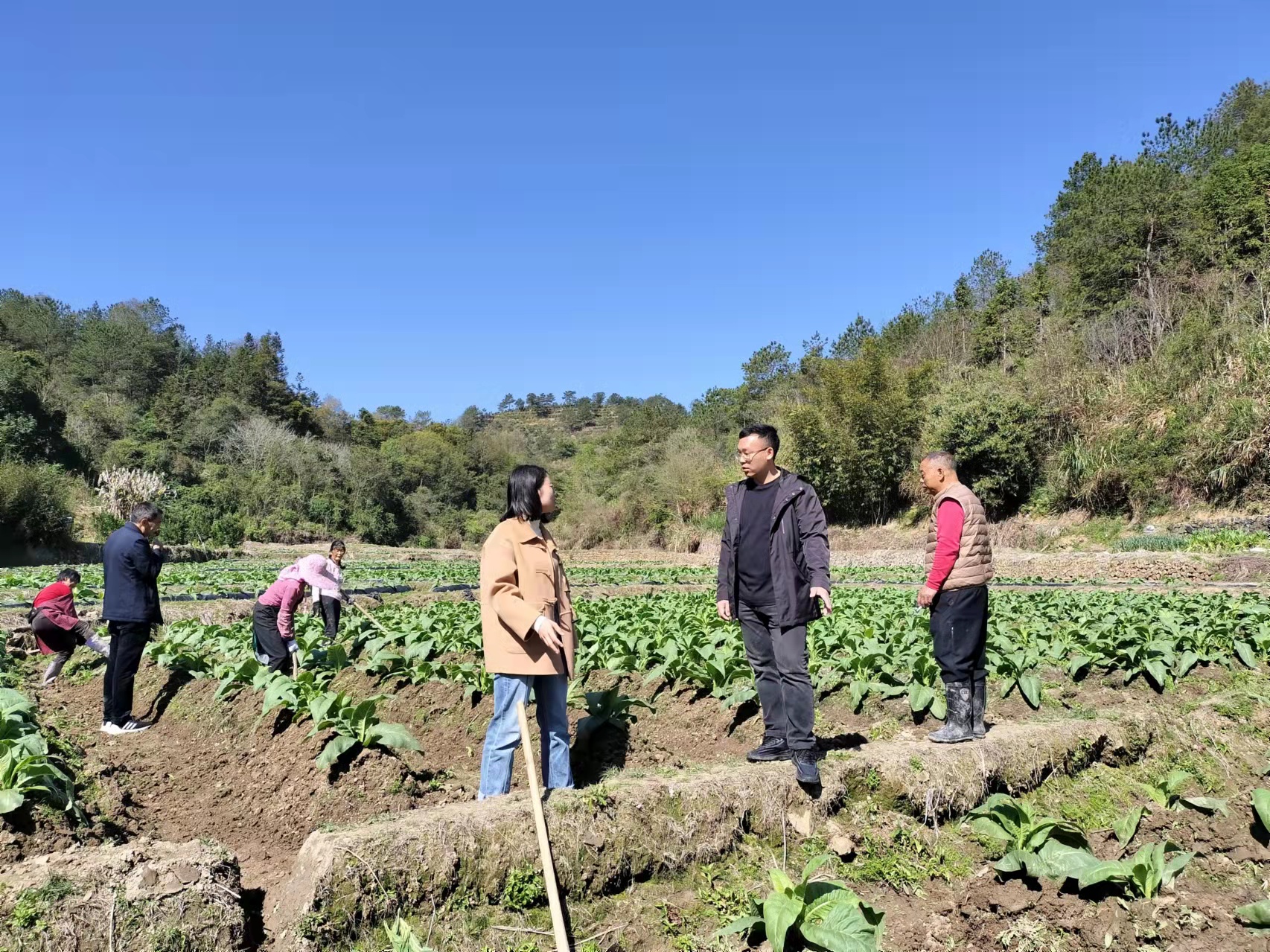 私自造烟的村子_微信小程序城市造造造攻略_造雾者蒸汽电子烟