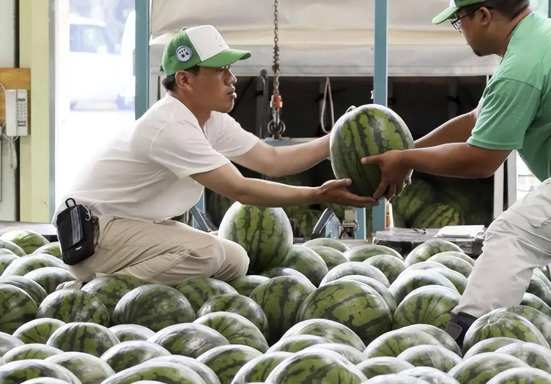 烟中华图片_烟中华价格图片及价格_中华烟