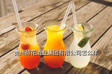 贵州荷花酒业集团有限公司怎么样