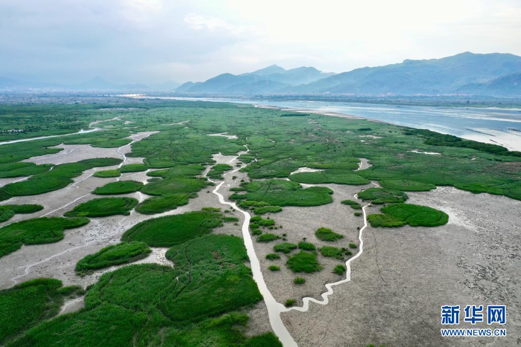 福建云霄县属于哪个市_福建云霄_福建云霄县天气预报