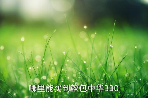 哪里能买到软包中华330