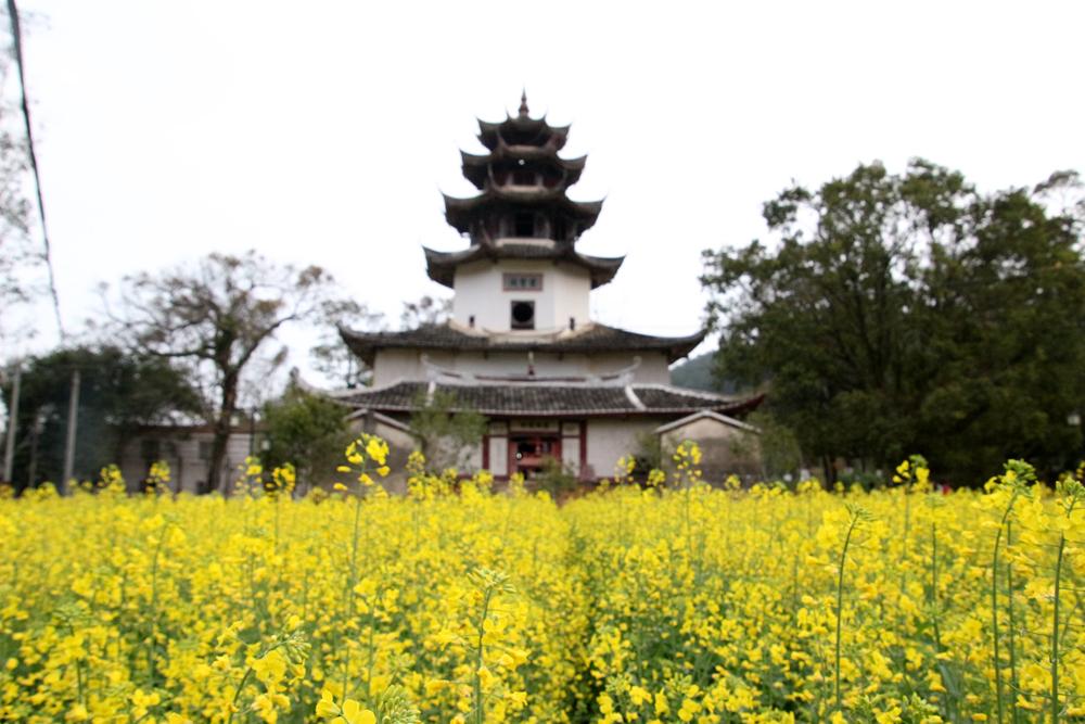 福建云霄县天气预报_福建云霄香烟_福建云霄