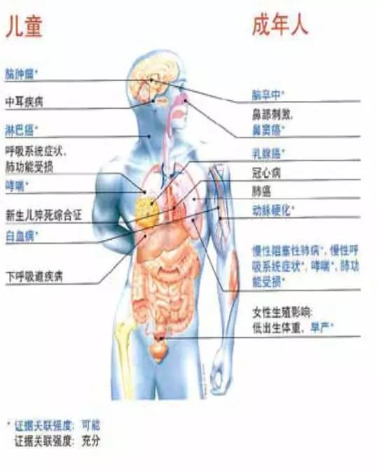 一手香烟微信号_香烟一手_一手香烟批发