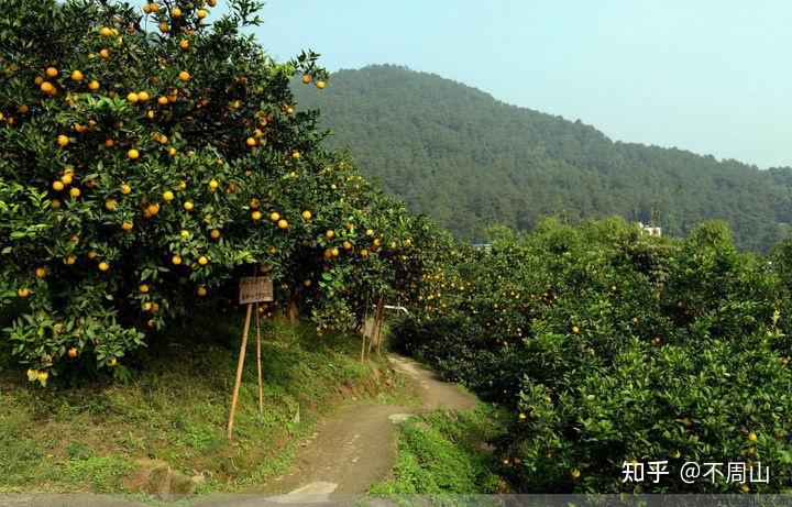 福建云霄_福建省云霄县是哪个市_福建云霄县寺院有多少