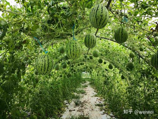 福建云霄天气_福建云霄_福建云霄县属于哪个市