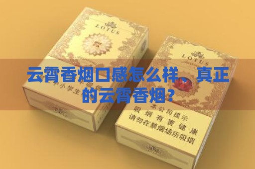 云霄香烟口感怎么样、真正的云霄香烟？-第1张图片-香烟批发平台