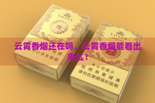 云霄香烟还在吗，云霄香烟能看出来么！-第1张图片-香烟批发平台