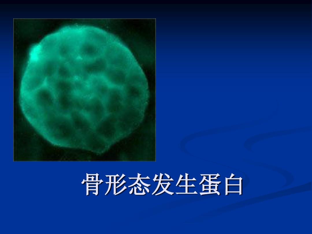 四季养生之秋季养生若要皮肤好_养生_佘自强阿佘靓汤·春夏养生篇^^^阿佘靓汤·秋冬养生篇^^^阿