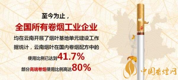 玉溪新品香烟怎么样(图解) 新款玉溪烟2017照片