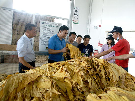 云南香烟_云南9 1大重九香烟批发_云南香烟品牌大全图片