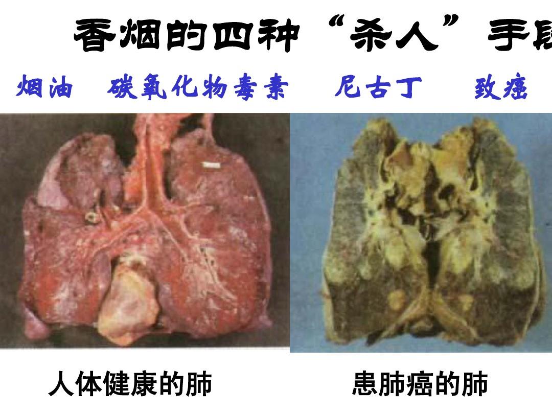 香烟_黄鹤楼香烟漫天游香烟价格表图_黄鹤楼香烟价格表图 香烟