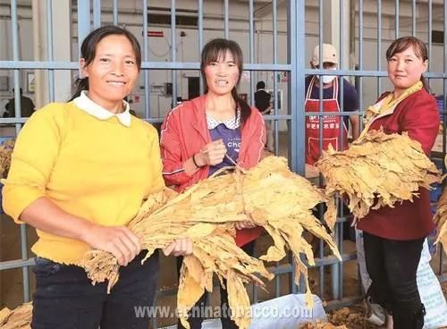 去海南买当地特色烟到哪儿买_云南当地的特色卷烟_永济当地特色美食