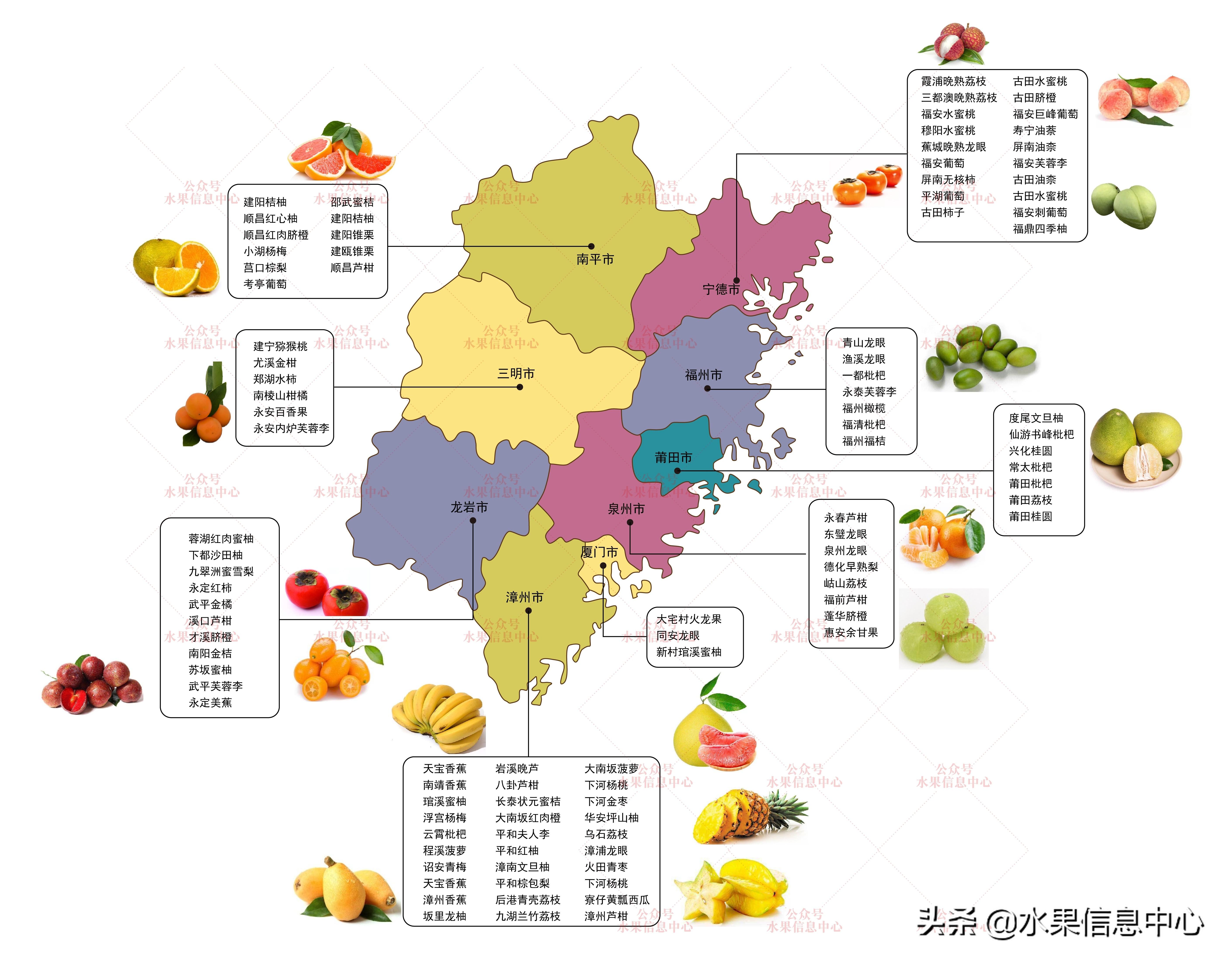 蜜柚的产地是哪里_红肉蜜柚产地_泉州云霄蜜柚产地