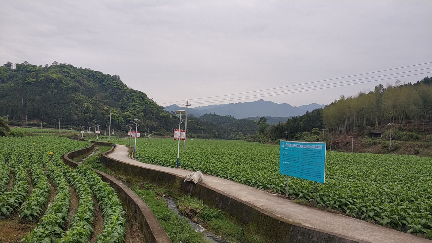 私自造烟的村子_城市造造造兑换码大全_造雾主电子烟介绍