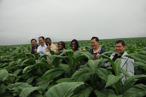 云南当地的特色卷烟_龙口当地春节特色美食_上海当地特色美食餐厅