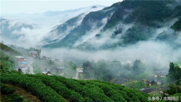 蜜柚的产地是哪里_胜利羽毛球拍产地泉州_泉州云霄蜜柚产地